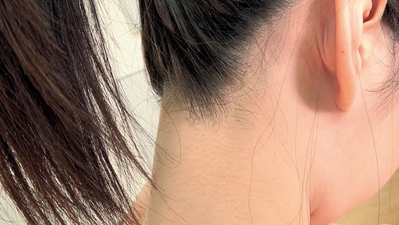 サンプル画像 8