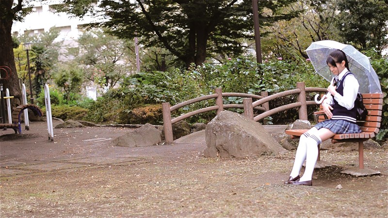 サンプル画像 5