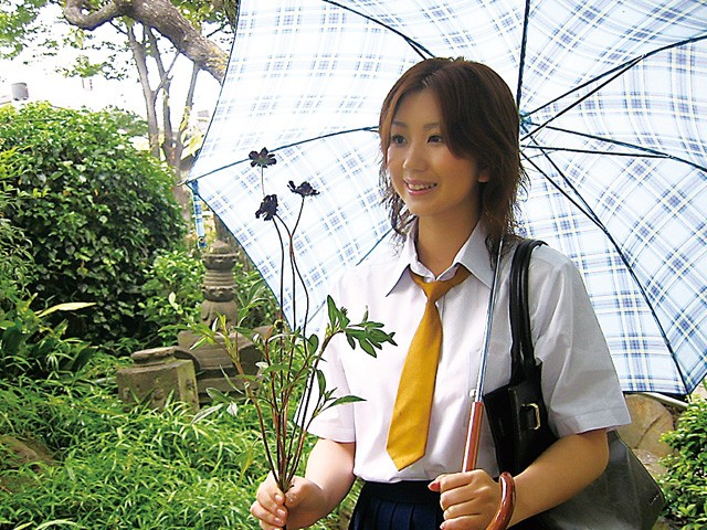 サンプル画像 3