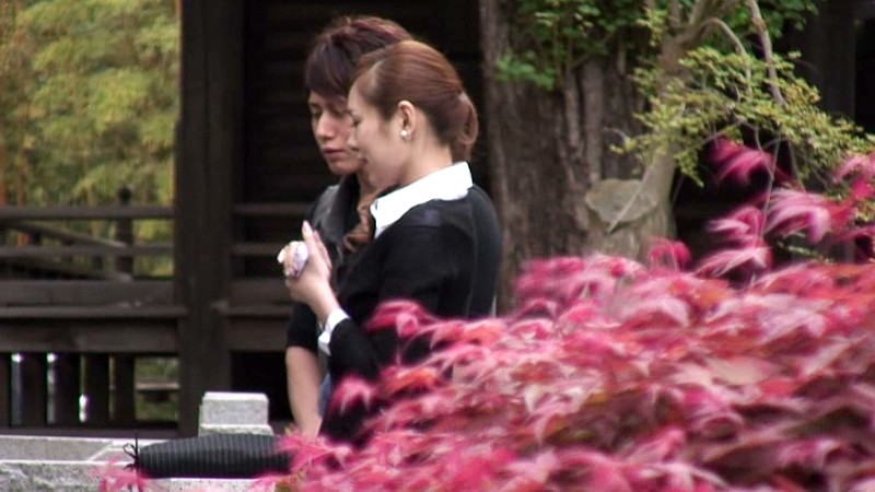 サンプル画像 15