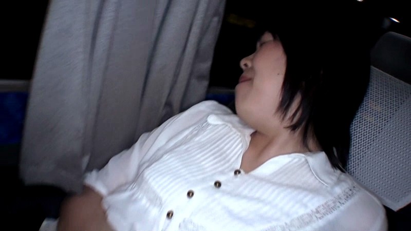 サンプル画像 14