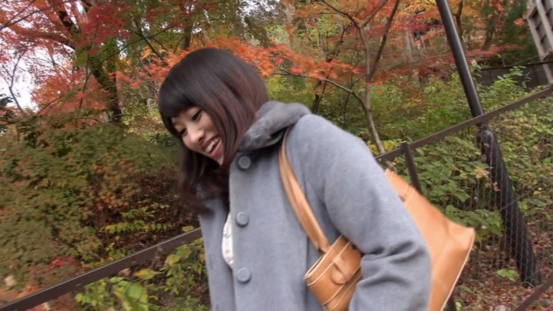 サンプル画像 13