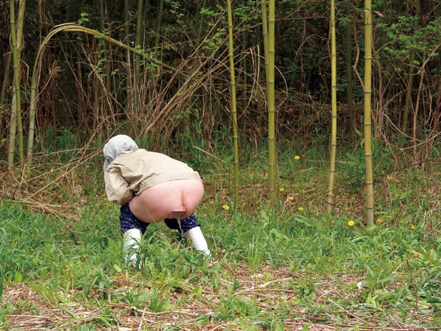 サンプル画像 4