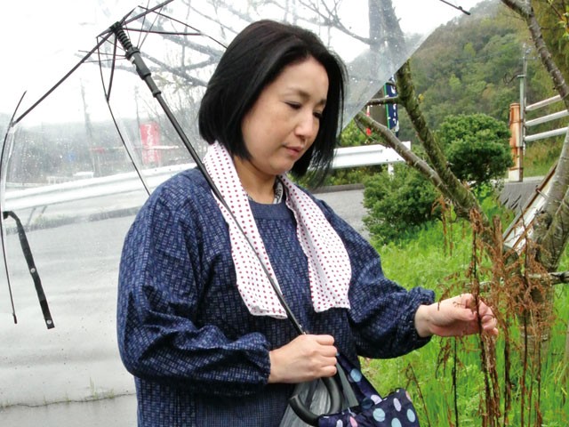 サンプル画像 6