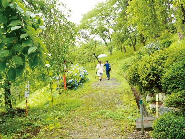 サンプル画像 2