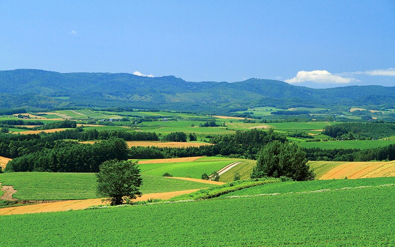 サンプル画像 18