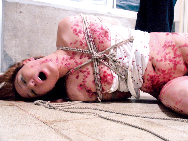 サンプル画像 5