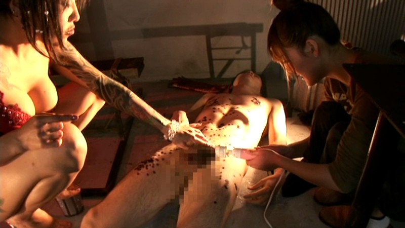 サンプル画像 11