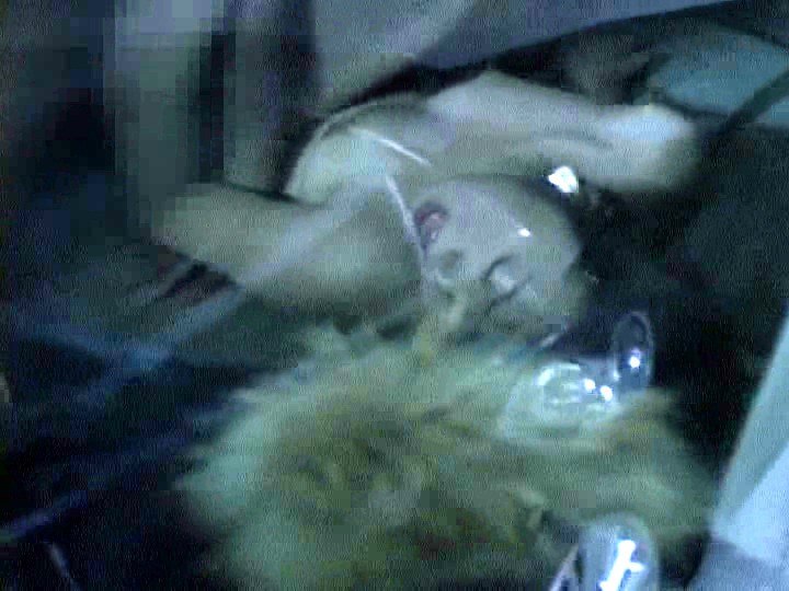 サンプル画像 21