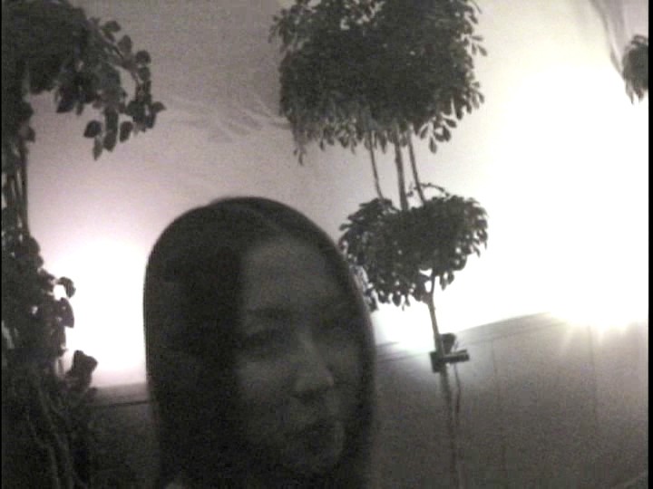 サンプル画像 15