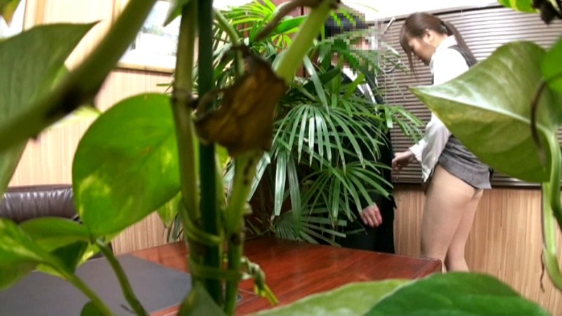 サンプル画像 18