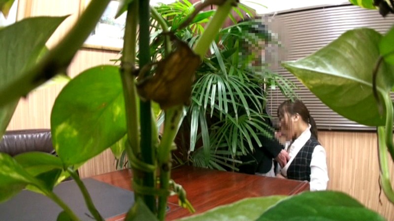 サンプル画像 19