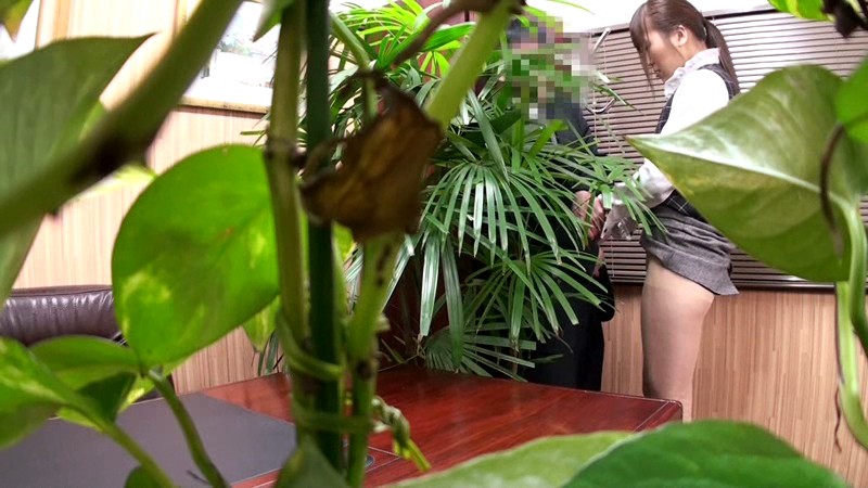 サンプル画像 11