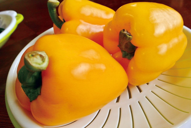 サンプル画像 9