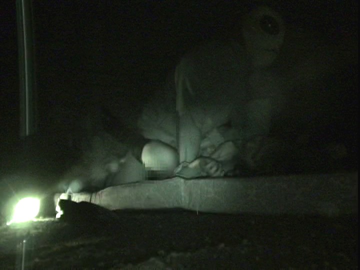 サンプル画像 13