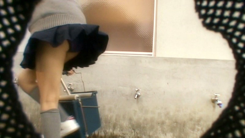 サンプル画像 11