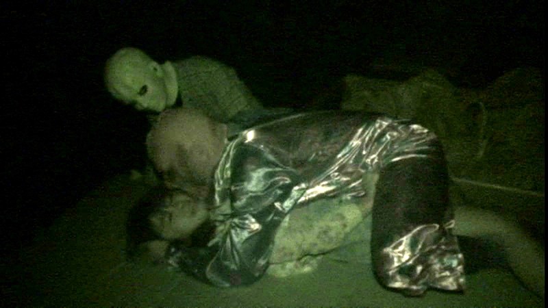 サンプル画像 5