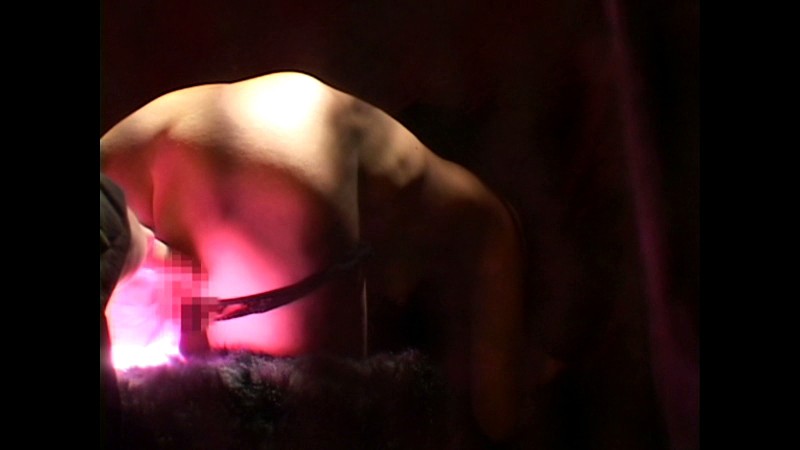 サンプル画像 3