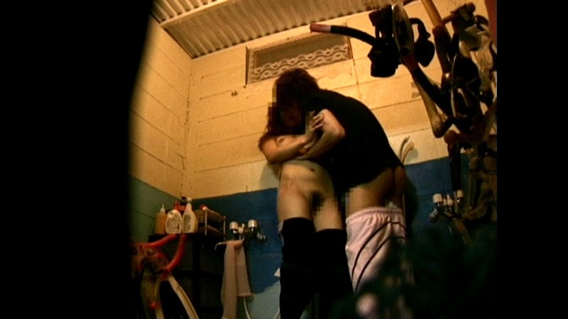 サンプル画像 8