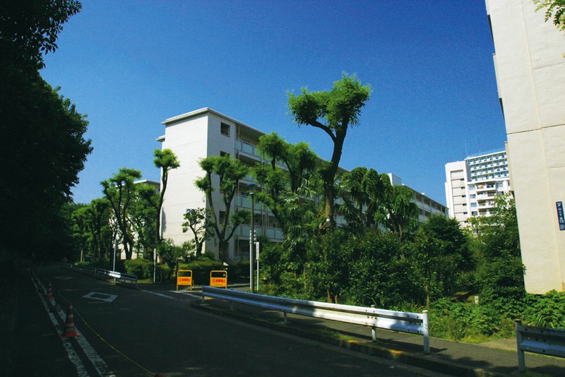 サンプル画像 6