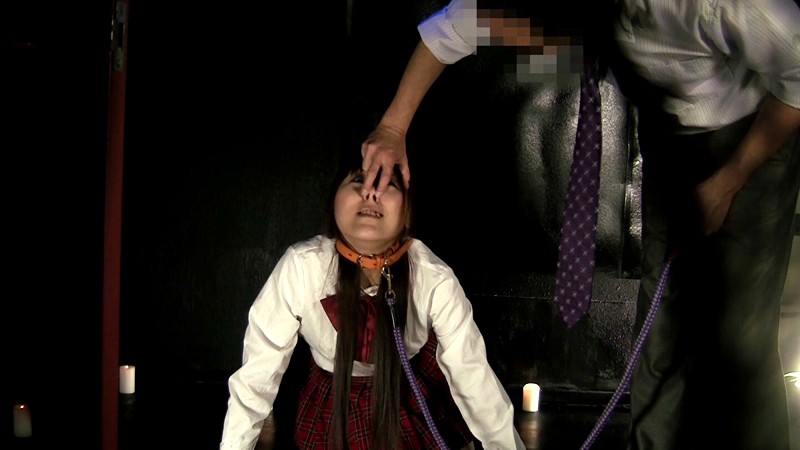 サンプル画像 14