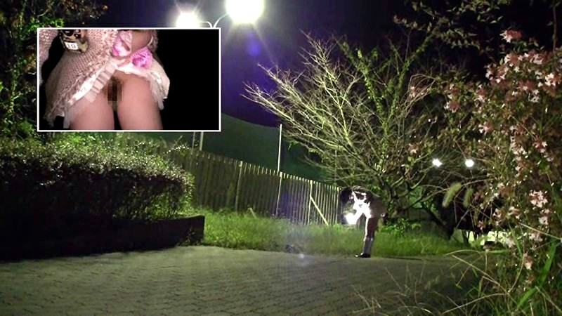 サンプル画像 12