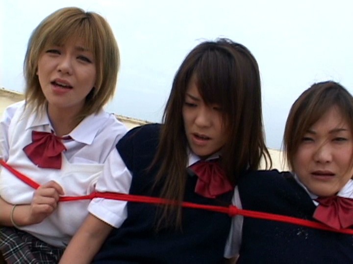 サンプル画像 2