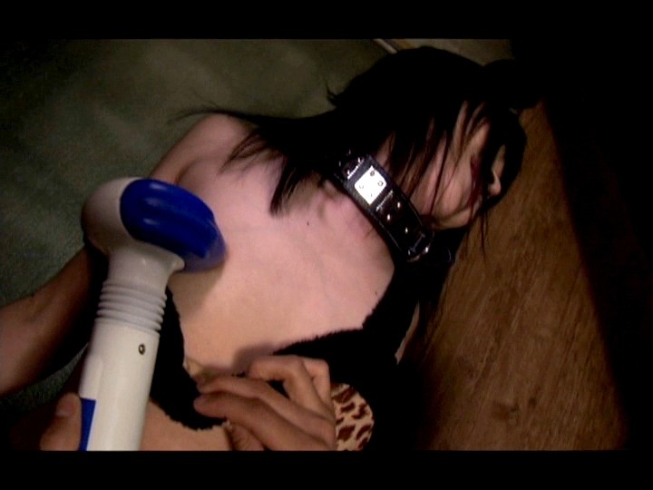 サンプル画像 11