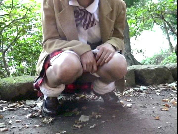 サンプル画像 12