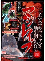 パッケージ画像