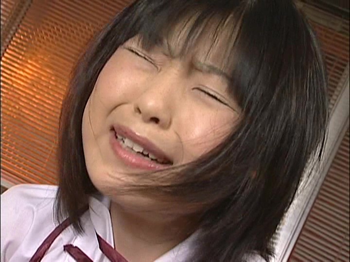 サンプル画像 14