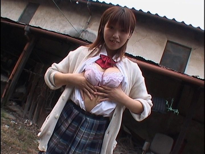 サンプル画像 2