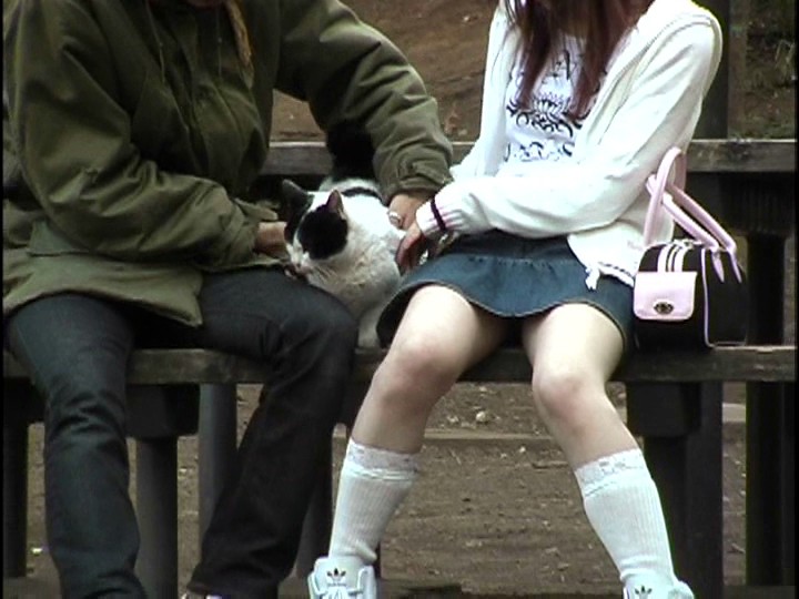 サンプル画像 8