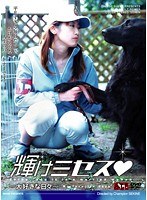 パッケージ画像