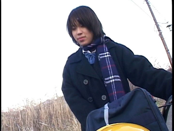 サンプル画像 3