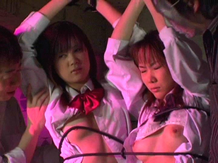 サンプル画像 12