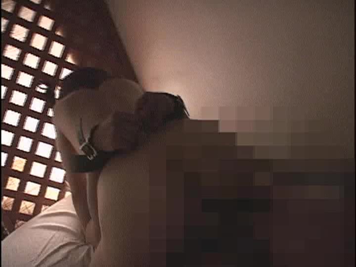 サンプル画像 21