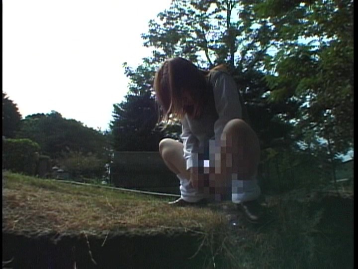 サンプル画像 4