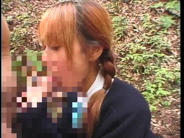 サンプル画像 11