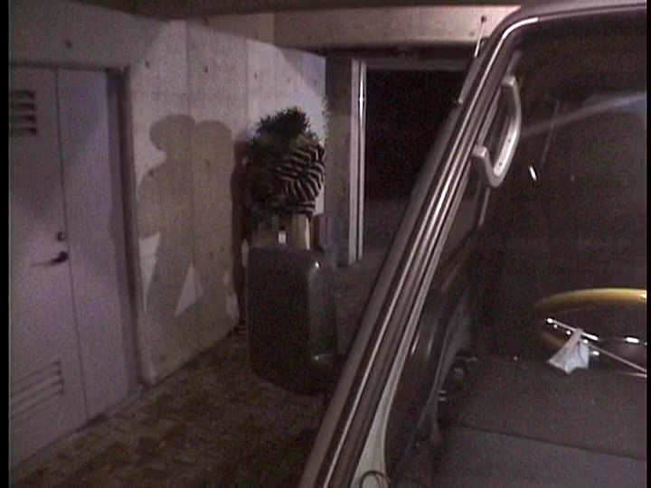 サンプル画像 15