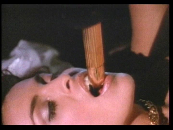 サンプル画像 6