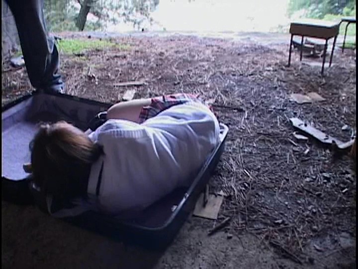 サンプル画像 4