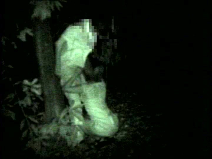 サンプル画像 8