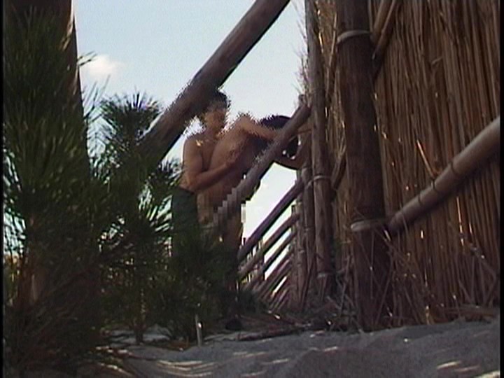 サンプル画像 2