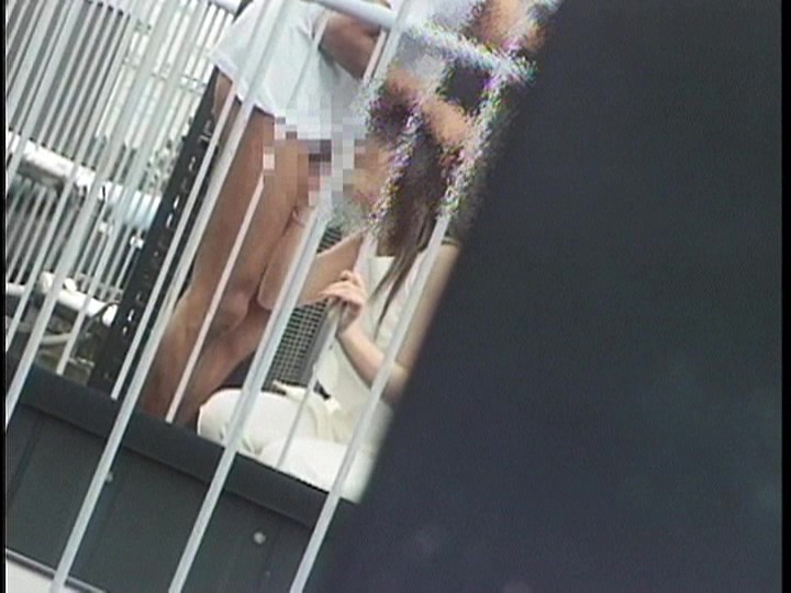 サンプル画像 4