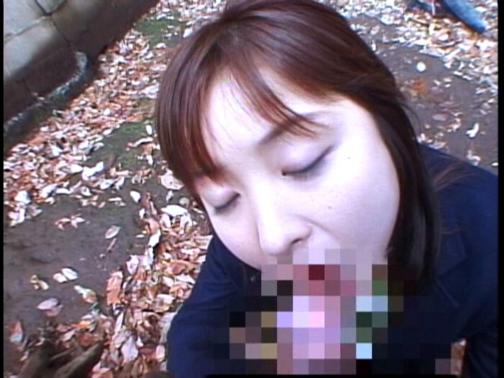 サンプル画像 3