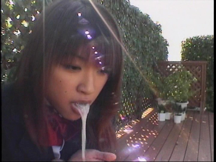 サンプル画像 12