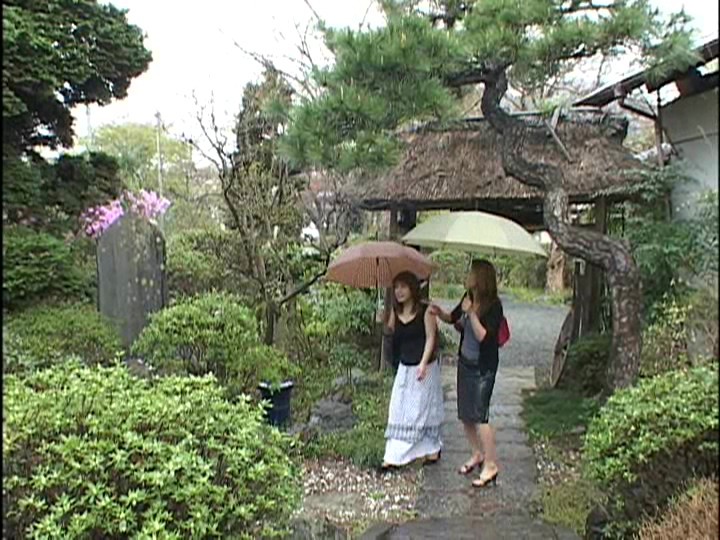 サンプル画像 2