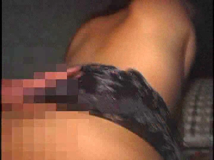 サンプル画像 8