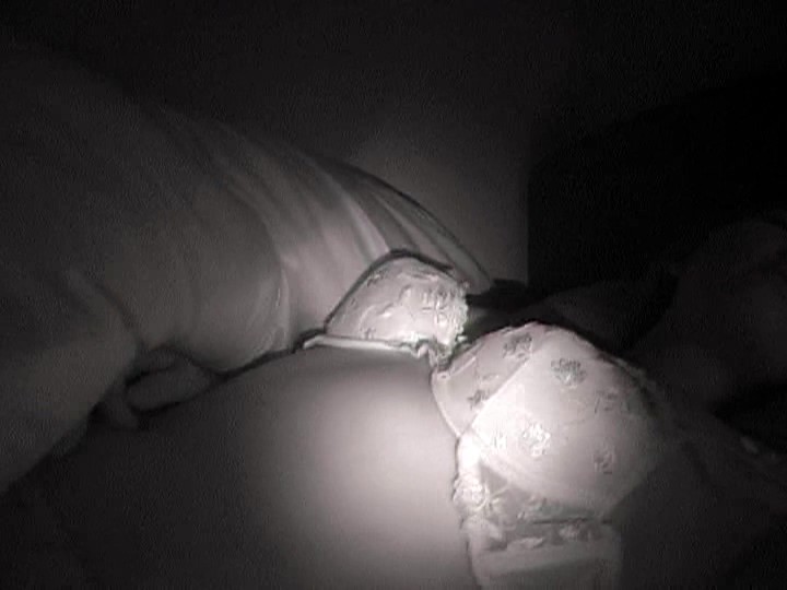 サンプル画像 16